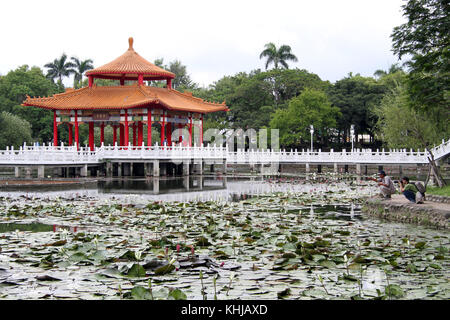 Laghetto di loto nel parco della città di Tainan, Taiwan Foto Stock