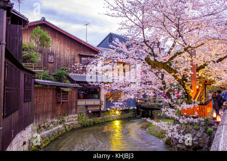 Vista notturna di fiume shirakawa nel quartiere di Gion con fiore di ciliegio Foto Stock