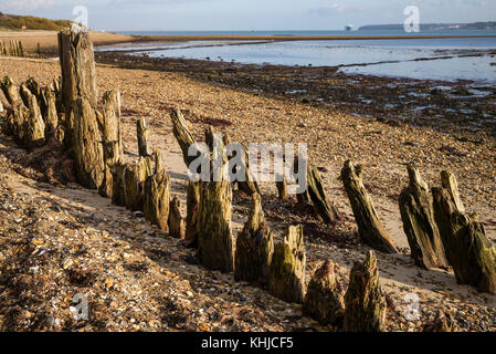 Lepe Country Park, foreshore e spiaggia, Hampshire. Vecchi pennelli in legno contribuiscono a prevenire erosione costiera, affacciato sul Solent e l'Isola di Wight. Foto Stock