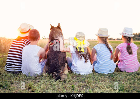 Quattro giovani ragazzi caucasici, una femmina adulta e un cane seduto sull'erba in estate campo soleggiato, guardando il tramonto. Le spalle sono rivolte verso Foto Stock