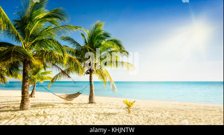 Sunny beach con palme e mano tradizionale amaca intrecciato Foto Stock