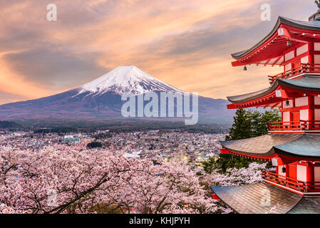 Fujiyoshida, Giappone a chureito pagoda e il Monte Fuji in primavera con la fioritura dei ciliegi. Foto Stock