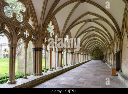 Nel Chiostro della Cattedrale di Salisbury, Salisbury, Wiltshire, Inghilterra, Regno Unito Foto Stock