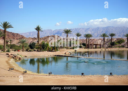 Laghetto con fontana a timna oasi nel deserto del Negev, Israele Foto Stock