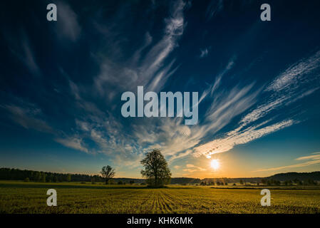 Morning sunrise and a beautiful landscape with fresh grass and trees Foto Stock