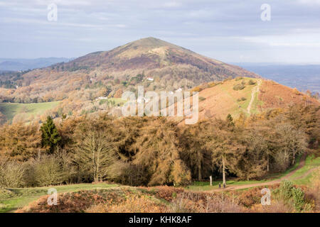 Autunno su Malvern Hills, guardando verso nord in direzione del Worcestershire Beacon, Worcestershire, England, Regno Unito Foto Stock