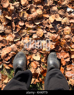 Gambe caric il sistemaare in galoshes contro lo sfondo di foglie cadute, Foto Stock