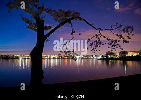 Paesaggio con viola e blu cielo al crepuscolo. Foto Stock
