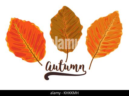 Vector autunno stile acquerello stagionale design con tratte giallo arancione rosso marrone caduta ontano foresta bellezza foglie. Saluto cartolina, banner Illustrazione Vettoriale