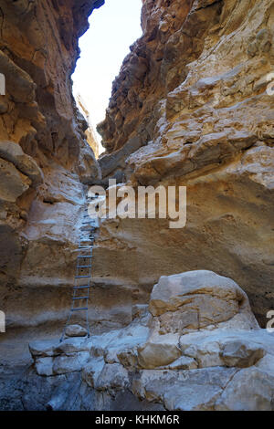 In scaletta barak canyon, Israele Foto Stock