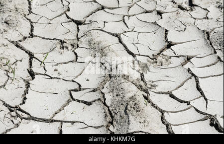 Close-up di erosione del suolo texture. Un terreno arido in estate calda. Deserto arido dal secco incrinato il fango. Sfondo grigio di dettaglio del danneggiato campo arida. Foto Stock