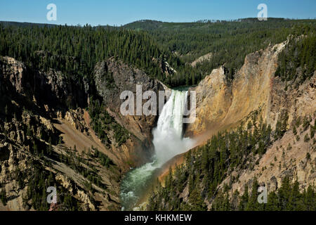 Wy02632-00...wyoming - cascate inferiori dal punto di vedetta nel Grand Canyon di Yellowstone presso il parco nazionale di Yellowstone. Foto Stock