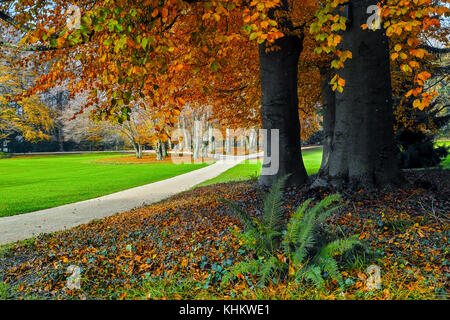 Bautiful i colori dell'autunno in Wenkenpark, Basilea, Svizzera. Foto Stock