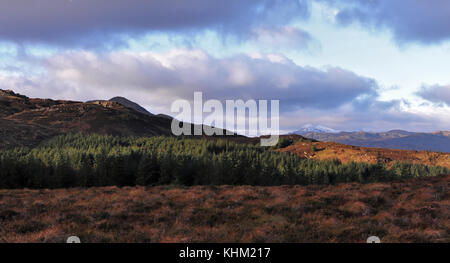 Highland scozzesi trossachs stirlingshire Foto Stock