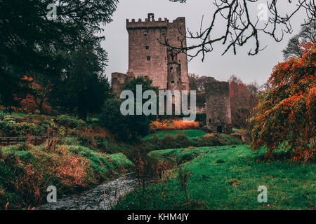 Blarney, Irlanda - Castello di Blarney, una roccaforte medievale in blarney, vicino a Cork, Irlanda e il fiume martin Foto Stock