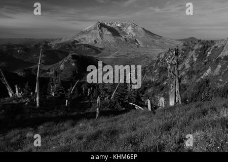 Mt St Helens prati Foto Stock