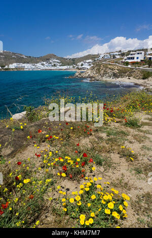 Il paesaggio della costa di Platis Gialos, sud dell isola, isola di Mykonos, Cicladi, Egeo, Grecia Foto Stock