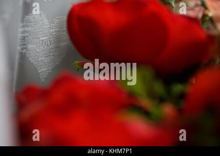 Rose rosse indicano amore nei rapporti specialmente il giorno di San Valentino. Foto Stock