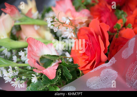 Rose rosse indicano amore nei rapporti specialmente il giorno di San Valentino. Foto Stock