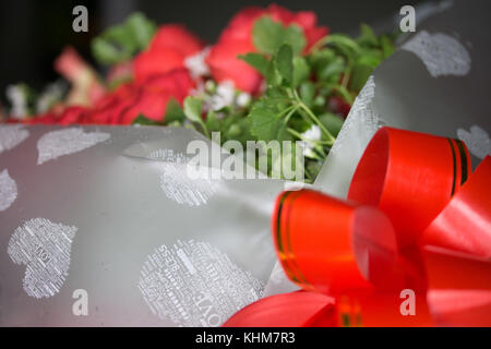 Rose rosse indicano amore nei rapporti specialmente il giorno di San Valentino. Foto Stock