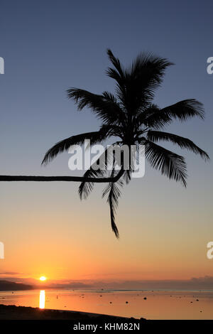 Palm e il tramonto sulla spiaggia nelle isole Figi Foto Stock