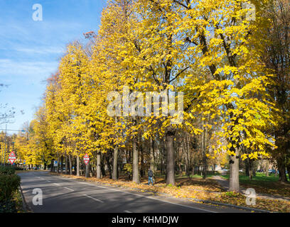 Colori autunnali nel nord Italia Foto Stock