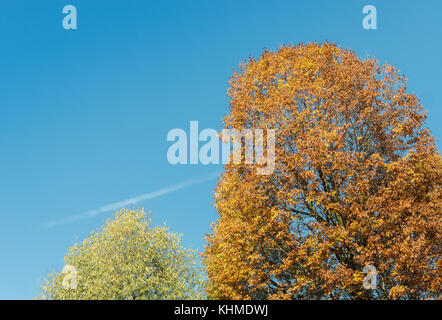 Colori autunnali nel nord Italia Foto Stock