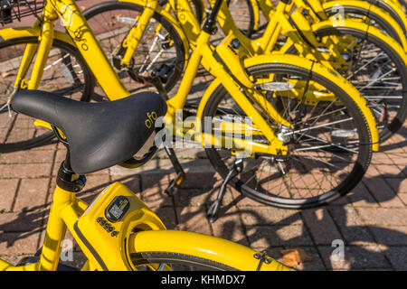 Ofo cinese è un bike-sharing società che a partire dalla metà del 2017 è stata attiva nel campionato italiano di ciclismo urbano scena Foto Stock