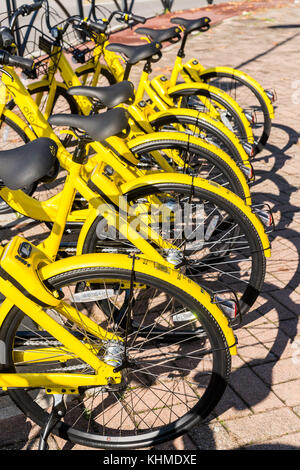 Ofo cinese è un bike-sharing società che a partire dalla metà del 2017 è stata attiva nel campionato italiano di ciclismo urbano scena Foto Stock