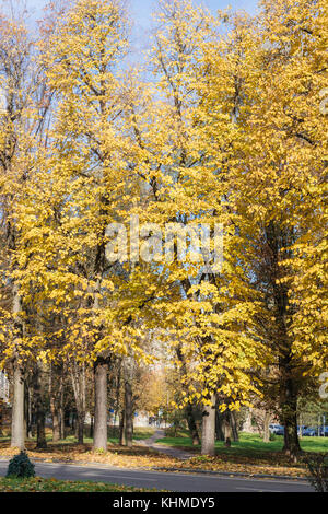 Colori autunnali nel nord Italia Foto Stock