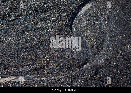 Attrazioni lungo la spiaggia in una baia isolata, Isola del Sud, Nuova Zelanda: modelli nella sabbia. Foto Stock