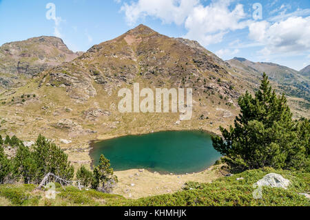 Vista del lago di alta montagna chiamato 'Estany primer' vicino a Ordino con pino mugo, Tristaina, Andorra Foto Stock