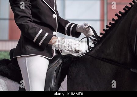 Il jockey si siede in sella a un cavallo riprese di close-up. Correggere lo sbarco in sella di un cavallo di pedigree per sport equestri. Foto Stock