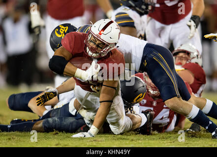 Stanford, in California, Stati Uniti d'America. Xviii Nov, 2017. Stanford Cardinale running back Cameron Scarlett (22) tenta la fuga Cal per la difesa, durante una NCAA Football gioco tra la California Golden Bears e Stanford Cardinale presso la Stanford Stadium a Stanford in California. Valerie Shoaps/CSM/Alamy Live News Foto Stock