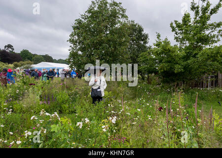 Donna guarda prato rotondo di carattere naturalistico bellissimi fiori selvatici - Il Brewin Dolphin giardino, RHS Chatsworth House Flower Show, Derbyshire, Inghilterra, Regno Unito. Foto Stock