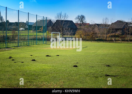 Molti molehills / mole tumuli sul campo di calcio Foto Stock