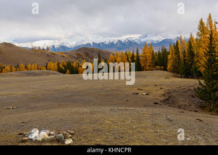 Bellissimo paesaggio autunnale con il giallo e il verde della foresta di conifere, sterrato e colline sullo sfondo di montagne innevate e il cielo con le nuvole Foto Stock