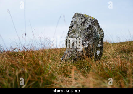 Paesaggi megalitici nel Regno Unito: BEDD Arthur standing Stone- Preseli Hills Bedd Arthur o tomba di Artù è un possibile sito megalitico del monumento engiforme neolitico nelle Preseli Hills nel Pembrokeshire. Tredici pietre verticali e almeno 2 cadute, ciascuna alta circa 0,6 metri per un ferro di cavallo ovale con somiglianze con la prima forma di Stonehenge. Foto Stock