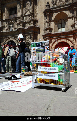 Gli ambientalisti che protestavano davanti la chiesa di San Francisco contro i piani del governo per la costruzione di una strada attraverso la regione TIPNIS, La Paz, Bolivia Foto Stock