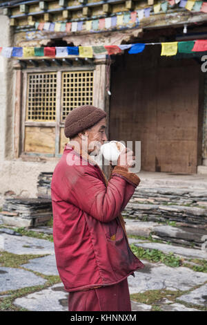 Monaco soffiando la sua conchiglia per avviare una puja, Mu Gompa, Tsum Valley, Nepal Foto Stock