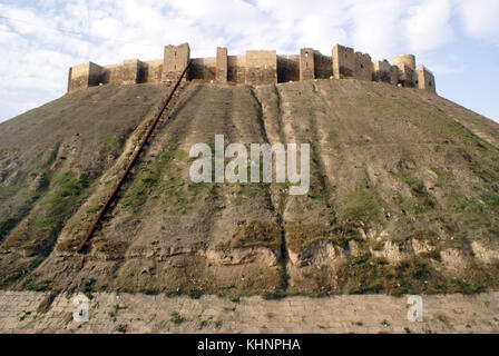 Cittadella sulla collina di Aleppo, Siria Foto Stock