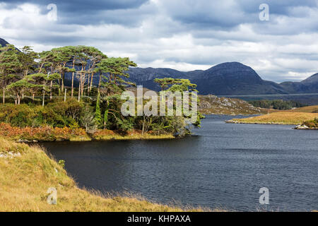 Idilic scenic vicino a Parco Nazionale del Connemara, Co. Galway, Irlanda è una popolare destinazione turistica per tutto l'anno Foto Stock