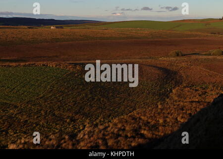 Vista dal vallo di Adriano guardando a nord su campagna con un fienile solitario in golden luce della sera con acciaio Rigg, Northumberland, Regno Unito Foto Stock