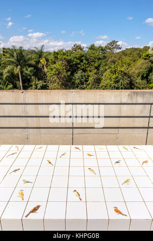 Adriana Varejao Gallery Rooftop, Passarinhos de Inhotim a Demini, dipinto da Beatriz Sauer, Inhotim Cultural Institute, Brumadinho, Belo Horizonte, Foto Stock