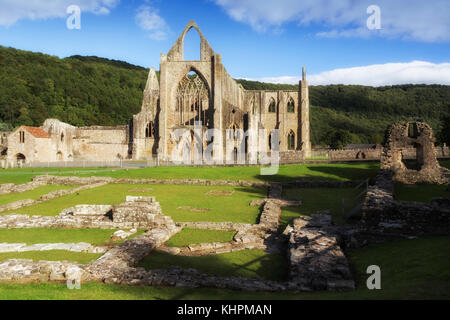 Tintern Abbey, Monmouthshire, Wales, Regno Unito. L'abbazia fu fondata nel 1131. Foto Stock