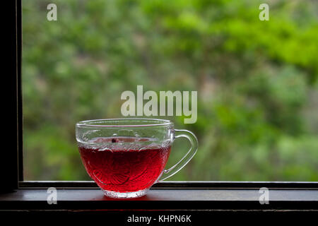 Il fuoco selettivo sulla coppa trasparente di hibiscus tè in tazza bianca sulla finestra in legno battuta contro sfocato sfondo verde con un sacco di copyspace- lato v Foto Stock