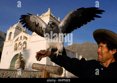 Cruz del Condor, punto di osservazione al Canyon del Colca, Perù. Erasmo espone con entusiasmo il suo aquile per i turisti nella città di Maca nella Valle del Colca. Foto Stock