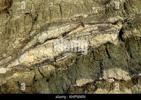 Il fondo del mare sarmatian. Foto Stock