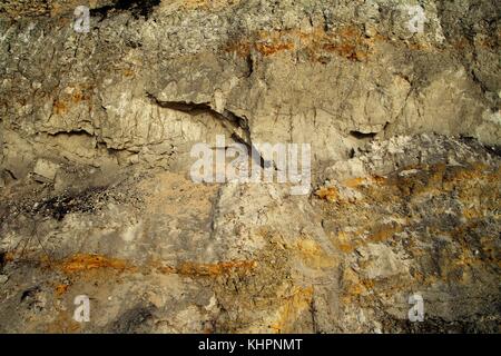 Il fondo del mare sarmatian. Foto Stock