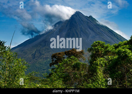 Un lussureggiante giardino in La Fortuna, Costa Rica con il Vulcano Arenal in background, America centrale. Foto Stock